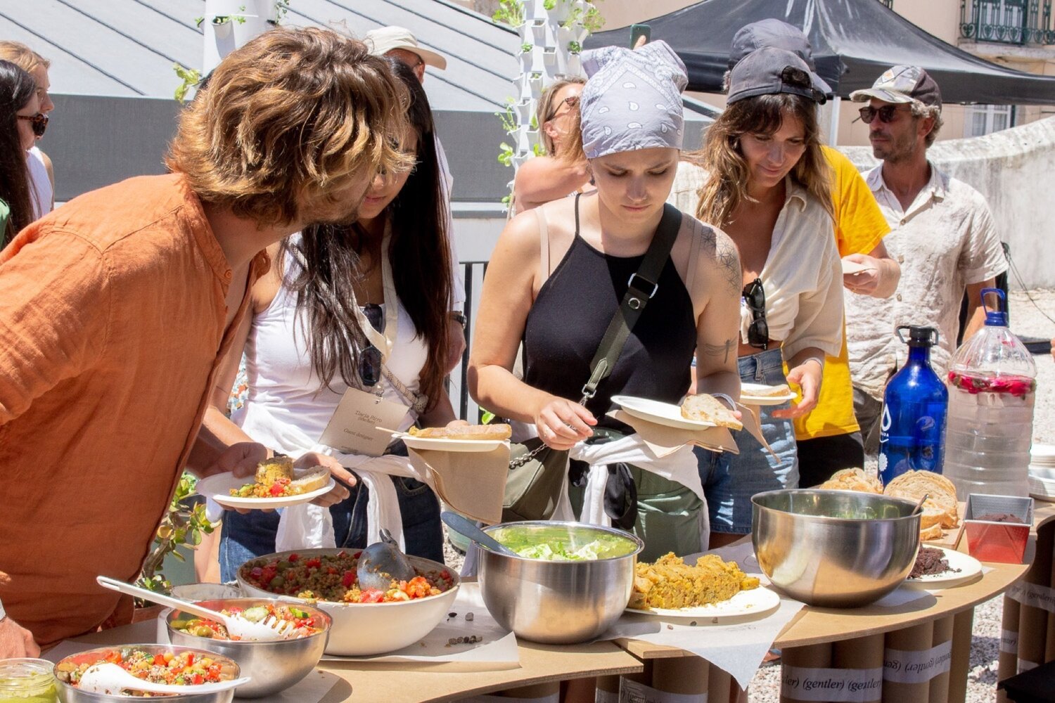 Solar brunch